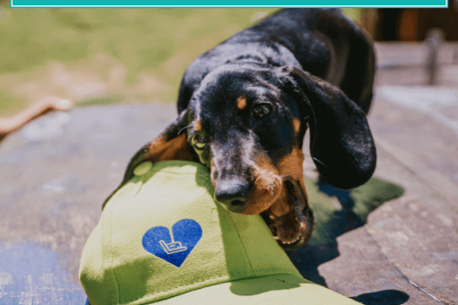 holnaptol-08-14-ujra-var-epleny