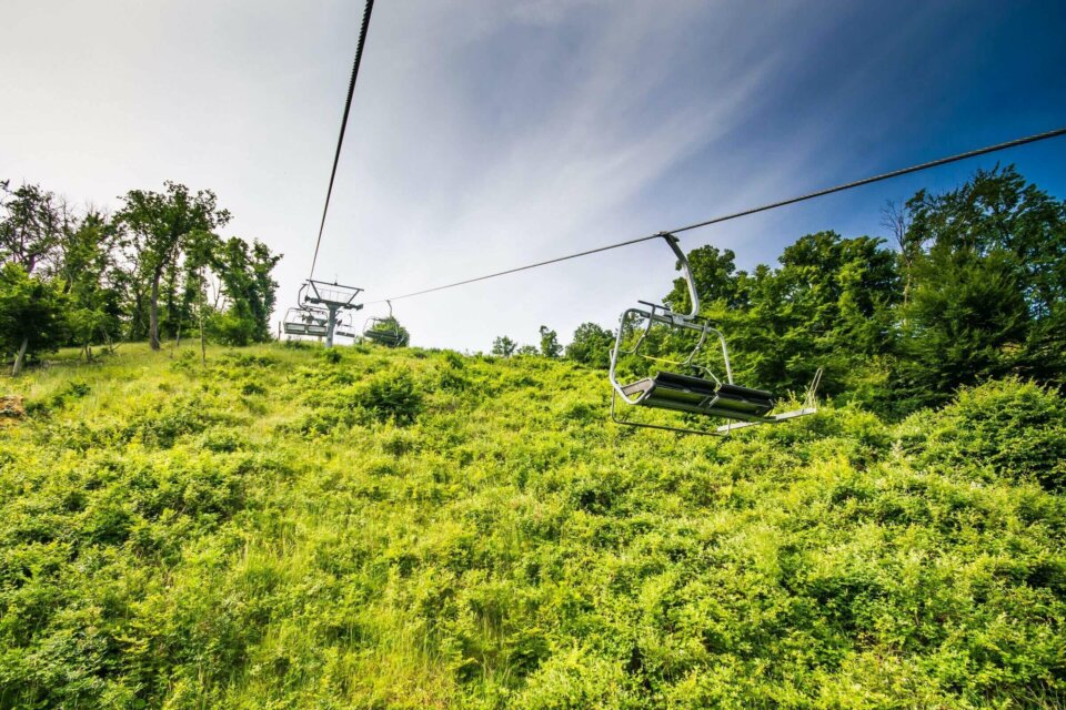 bringarena_image_photoshoot_38.jpg másolata