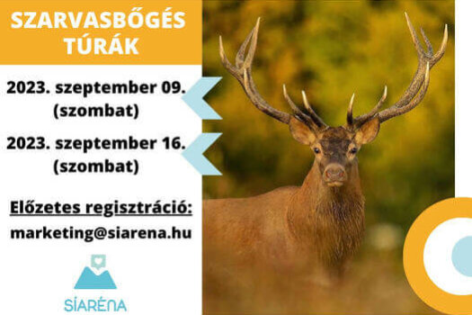 370903347_6385429515492_2717532970542066694_n