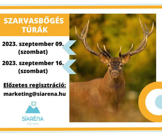 370903347_6385429515492_2717532970542066694_n