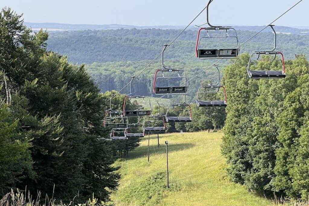 db929703-93e1-41f5-81ab-fbdc9b2853ed (002)