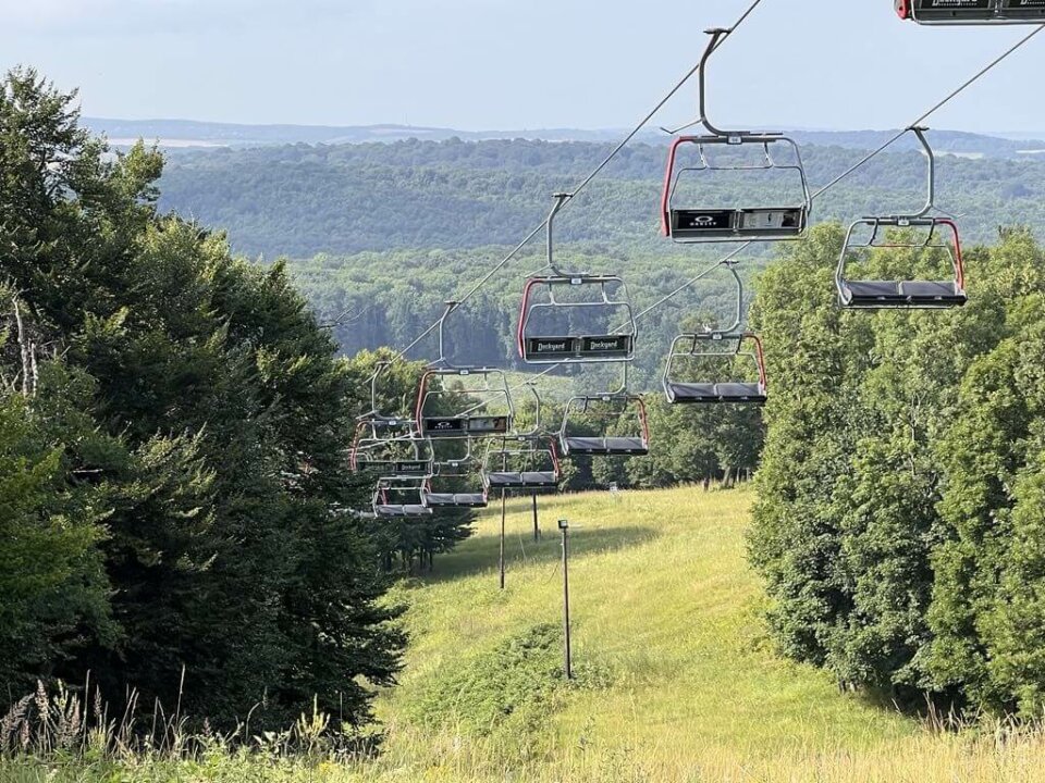 db929703-93e1-41f5-81ab-fbdc9b2853ed (002)