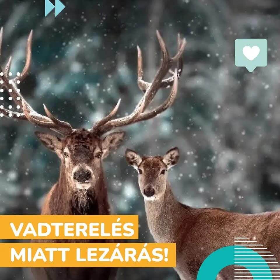 FB_IMG_1733819237393