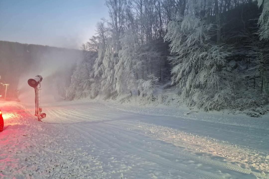 FB_IMG_1735464697352