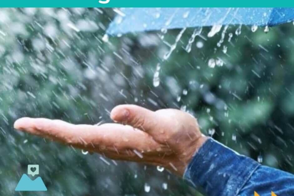 FB_IMG_1741933047685