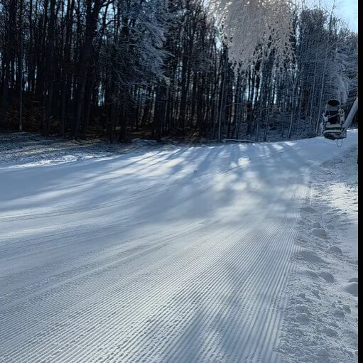 Képernyőkép 2025-03-18 160459