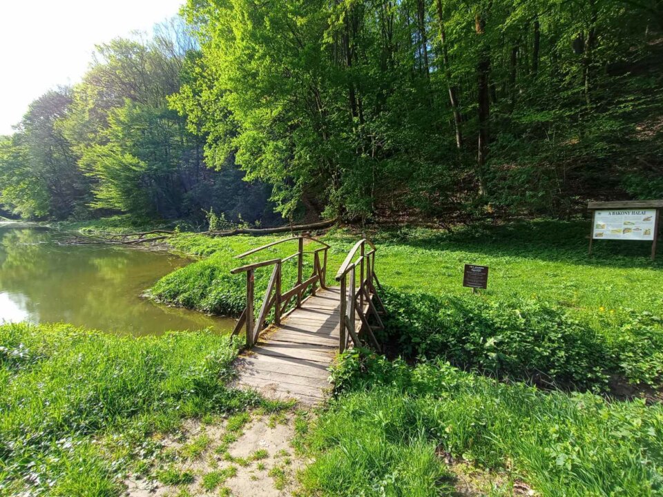 486385158_1106234548213147_3535780263758907847_n