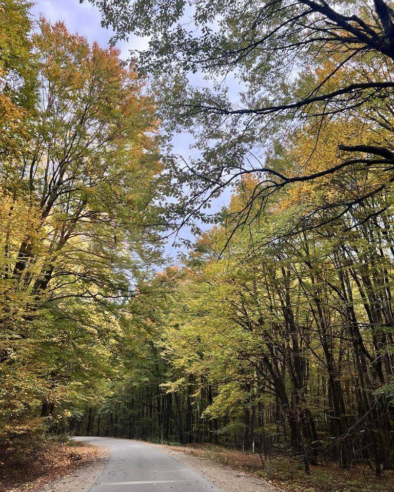 487816005_1113653597471242_3193302939810527543_n