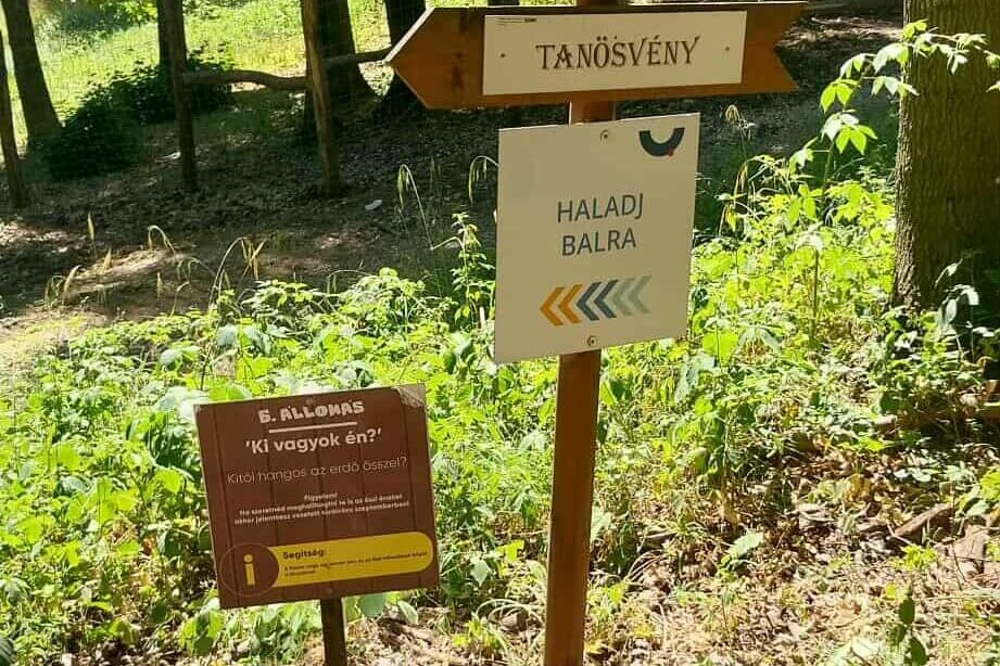 514410227_1191742072995727_7056539821214587587_n