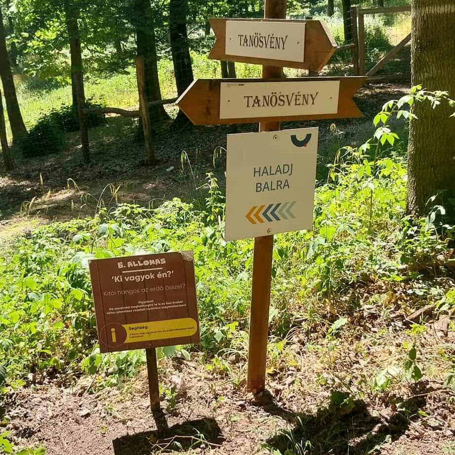 514410227_1191742072995727_7056539821214587587_n