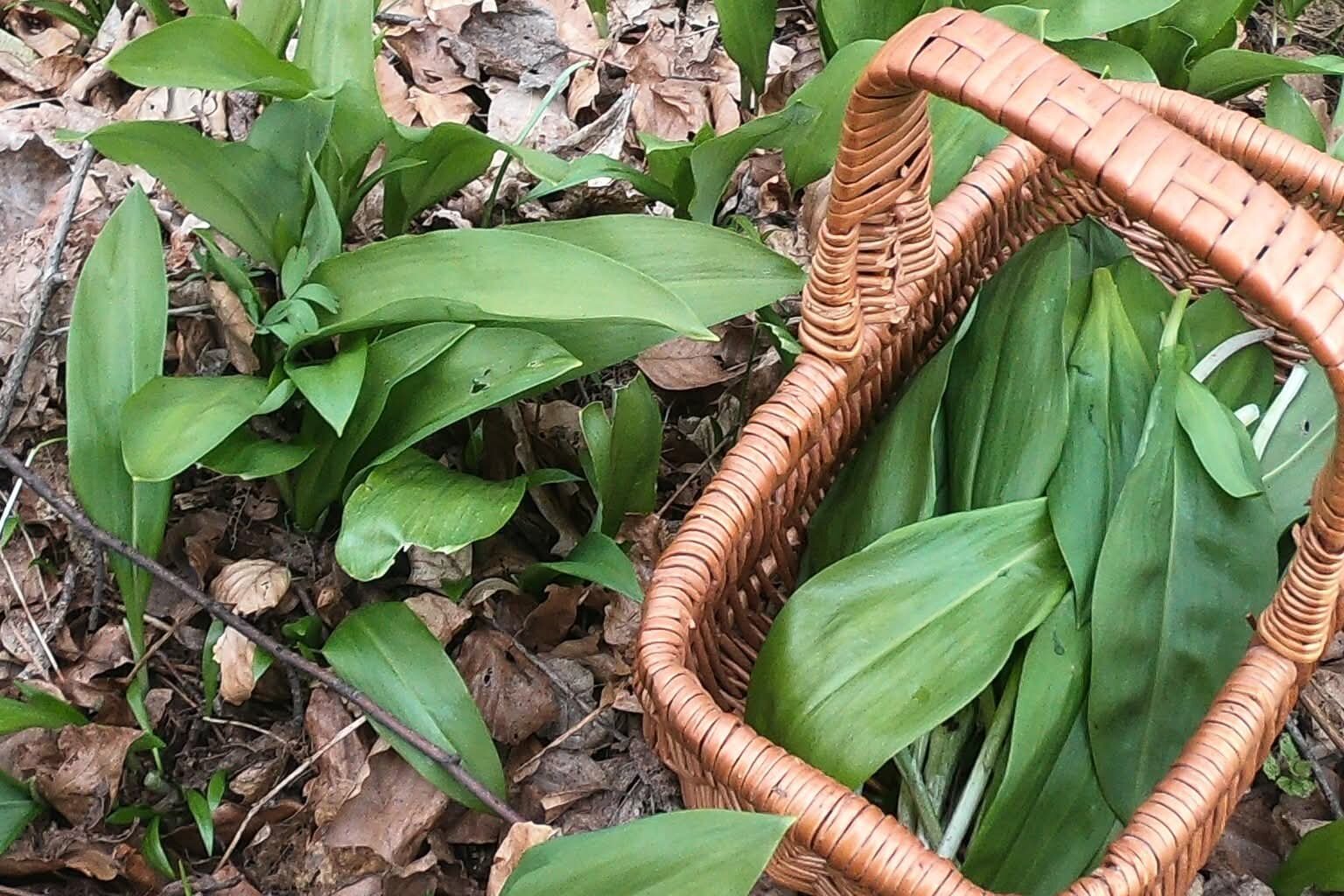 FB_IMG_1774979320576