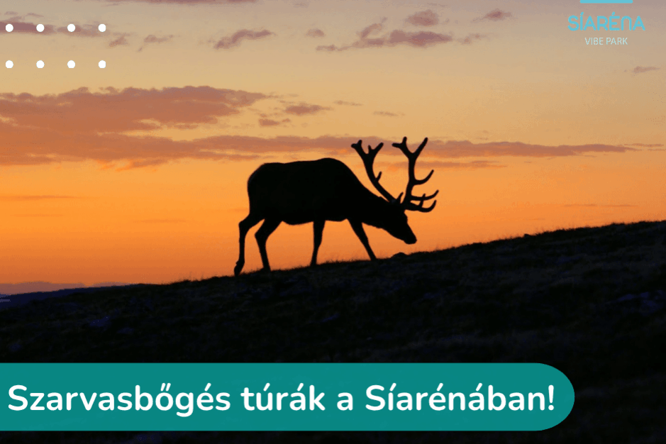 Szarvasbőgés túrák a Síarénában!