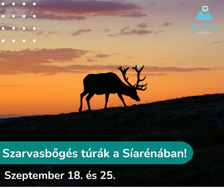 Szarvasbőgés túrák a Síarénában!
